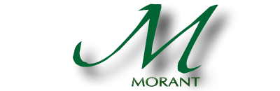 Morant Clinical Services